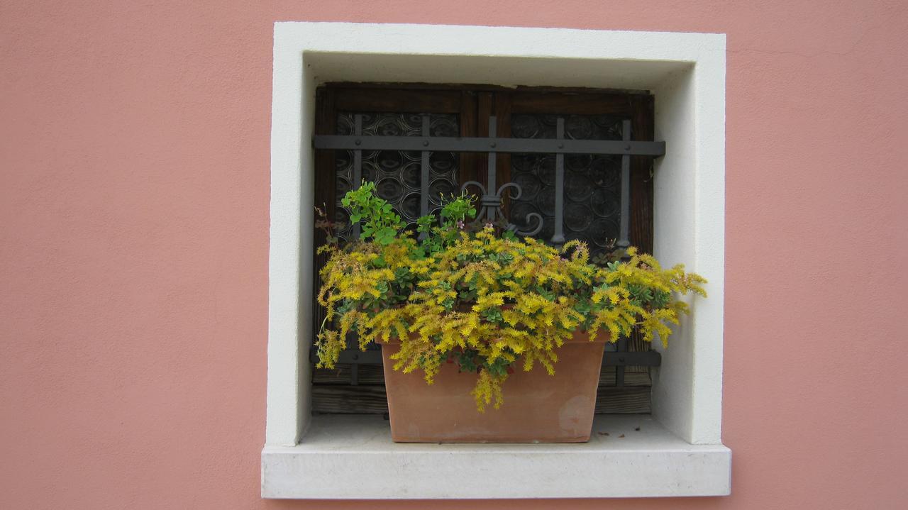 La Residence Da Caterina Vittorio Veneto Luaran gambar
